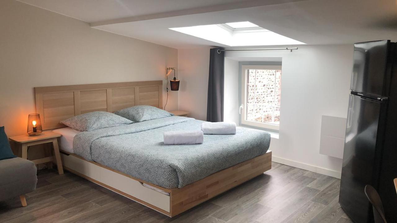 Jolis Appartements Au Coeur De Clermont Ferrand - Proche Jaude - Wifi Et Netflix Dış mekan fotoğraf