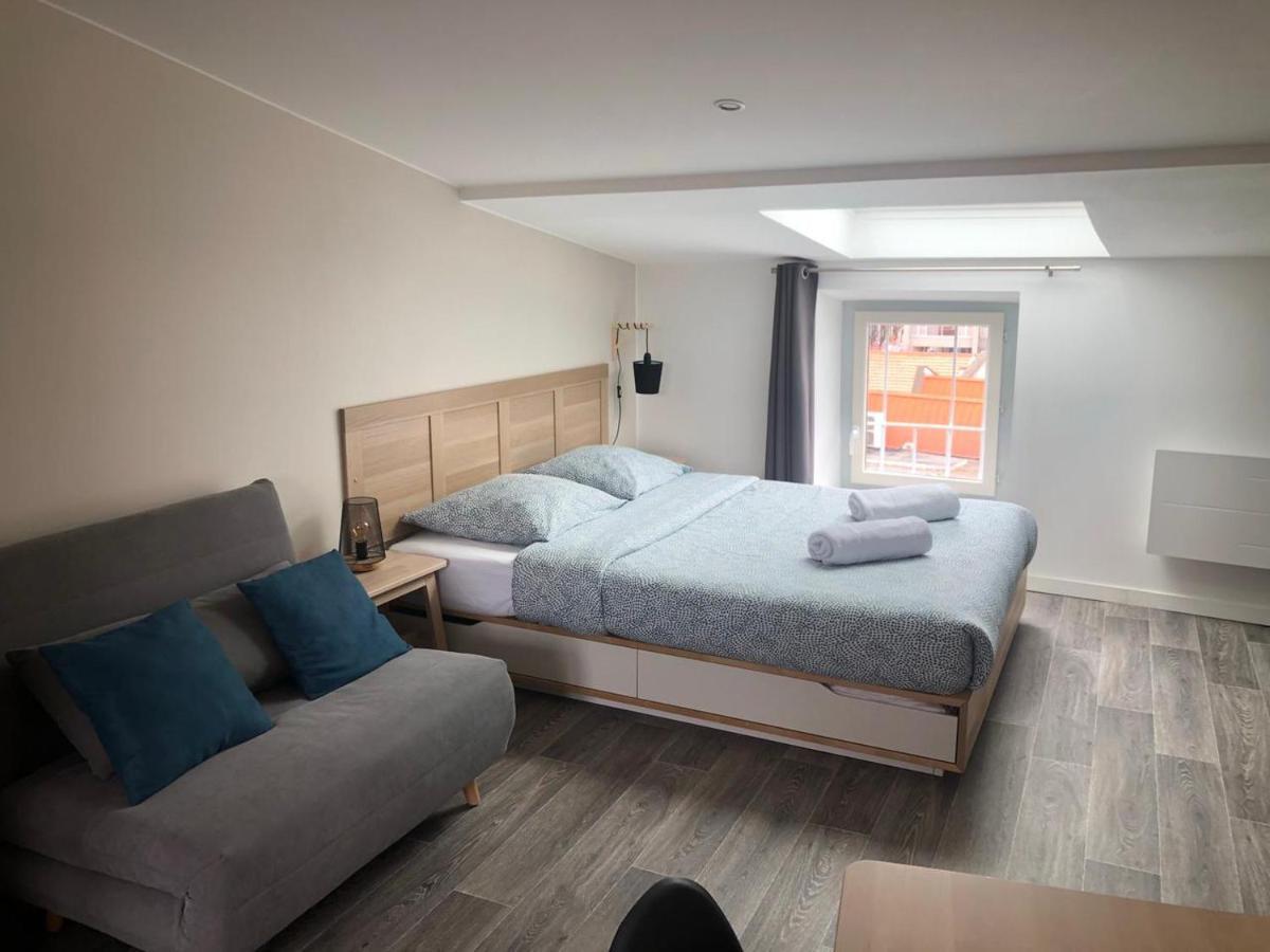 Jolis Appartements Au Coeur De Clermont Ferrand - Proche Jaude - Wifi Et Netflix Dış mekan fotoğraf